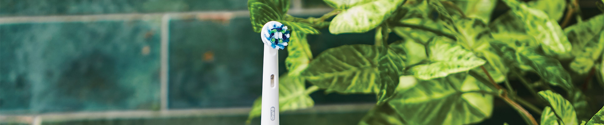electric-toothbrush.jpg