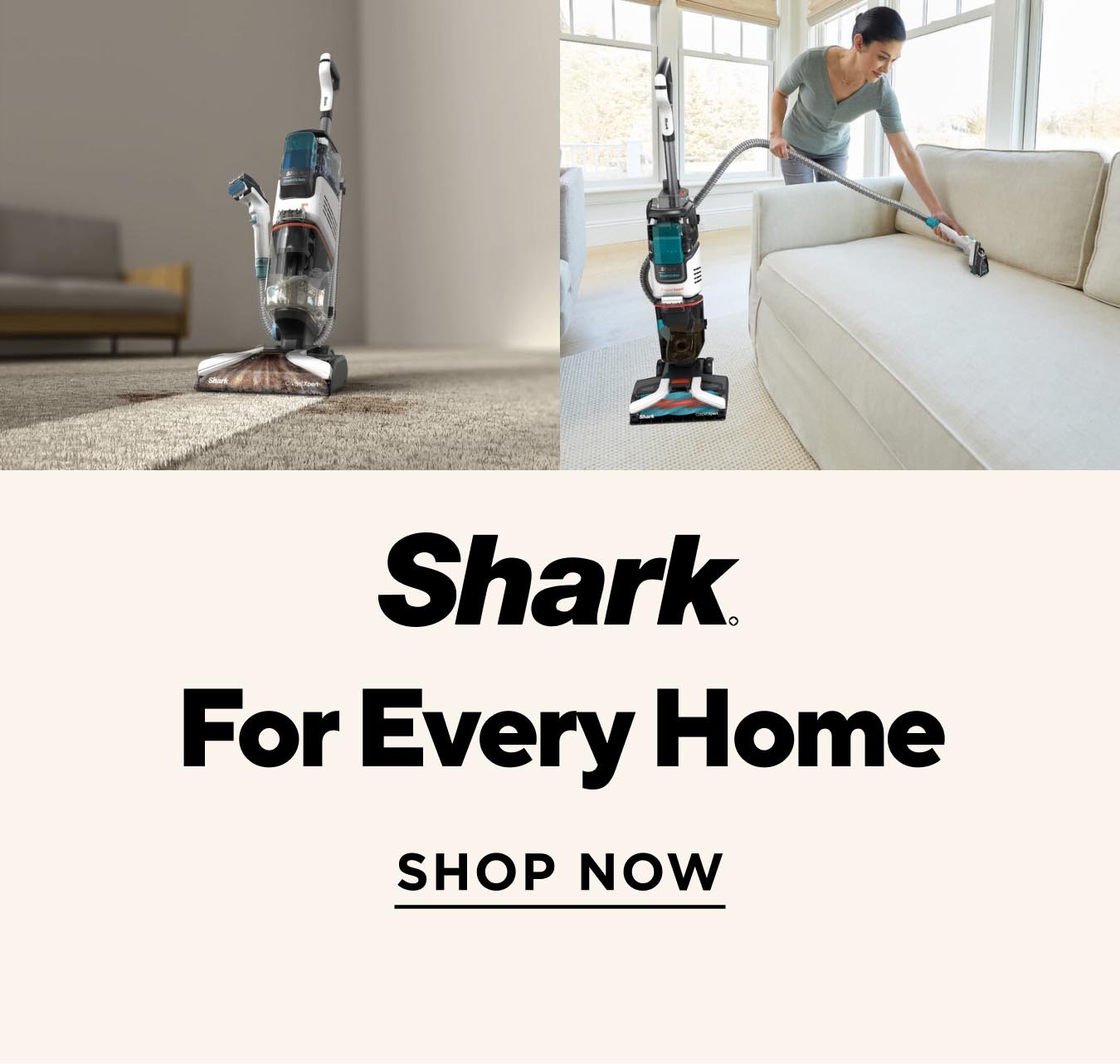 promoHeroCarousel image