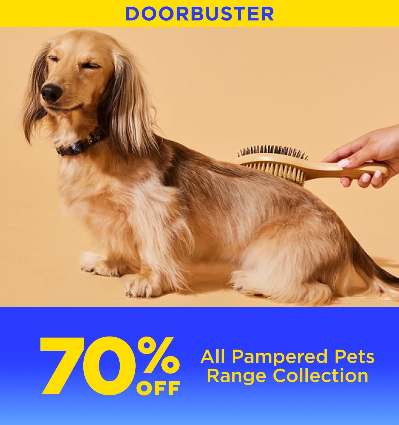 BR862-HP-3W-3-Pets.jpg