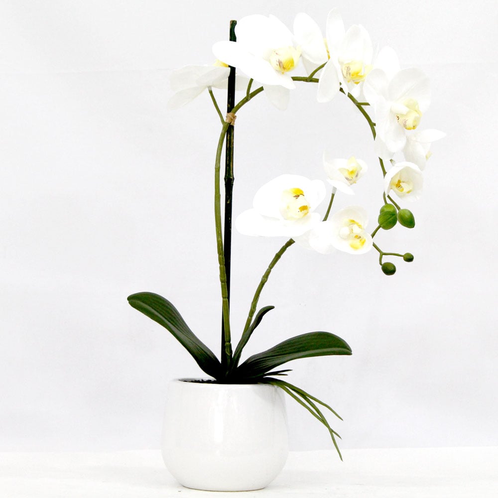 Real Touch Double Spray Artificial Orchid