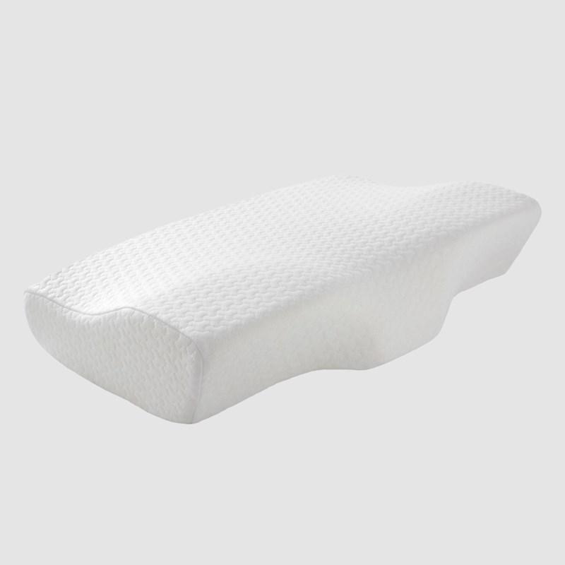 Memory foam store pillow briscoes